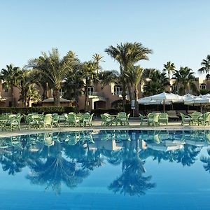 Club Paradisio El Gouna Red Sea (Adults Only)